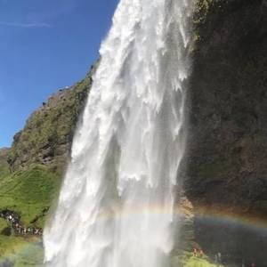 Meet your Posher, Kitty